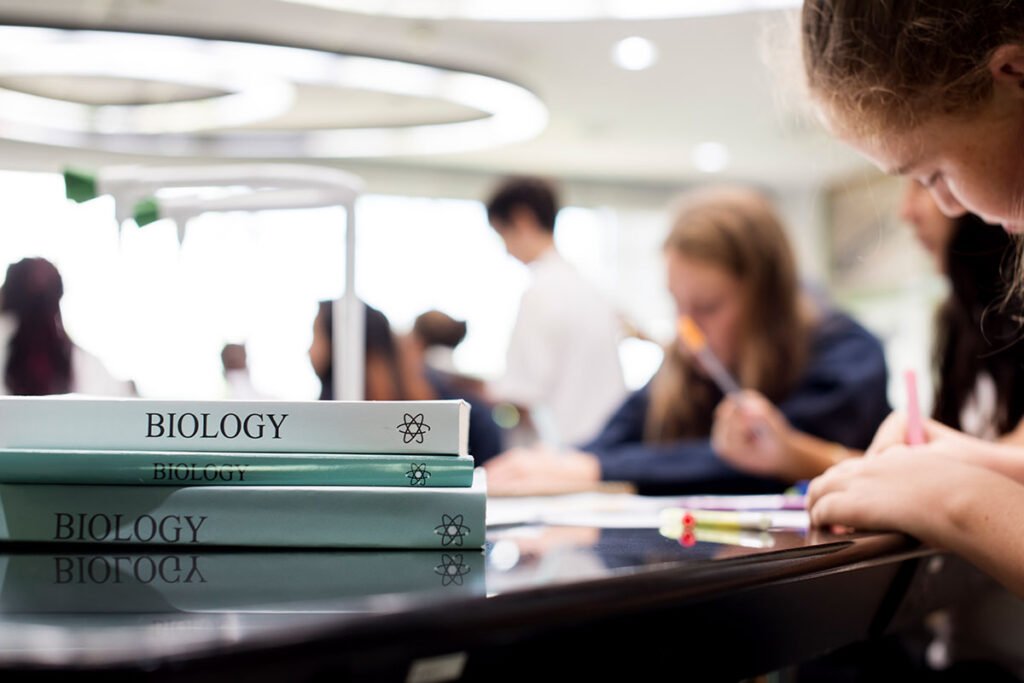 Best Curriculum for School Students